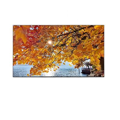 Harga yang bagus Resolusi 3840x2160 Layar TFT-LCD 32 Inci UHD Monitor Desktop untuk Pencitraan Medis dan Layar Industri sRGB 4 Sisi on line