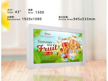 Guter Preis 43-Zoll Digital Signage, Ultra HD Wandmontierte Outdoor-Werbemaschine, Digitaler Werbemonitor, Kinoleinwand, Beauty-Screen, 1920x1080, Helligkeit 1500 Online